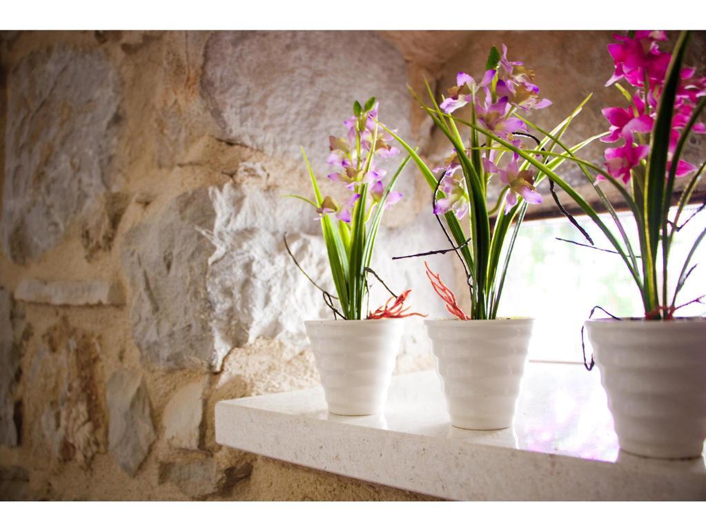 Studio Amabile Split Extérieur photo